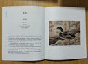 最美花鳥(niǎo)畫(huà)100幅 中國古代花鳥(niǎo)畫(huà)精選集五代兩宋唐元明清工筆水墨寫(xiě)意畫(huà)名家作品代表歷史故事臨摹賞析 曬單實(shí)拍圖