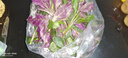 辰實【順豐/JD快遞】血皮菜新鮮 當季新鮮蔬菜 四川嫩紫背菜 天葵觀音 3斤 曬單實拍圖