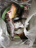 千絲坊 魚鉤手研新型新關東魚鉤 伊豆魚鉤 伊勢尼魚鉤 有倒刺無倒刺魚鉤散裝垂釣用品配件漁鉤 手研伊勢尼有倒刺【20枚裝】 4號 曬單實拍圖