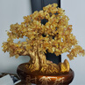 御時居純天然招財黃水晶發(fā)財樹擺件財寶樹客廳公司店鋪玄關喬遷開業(yè)送禮 招財樹【順豐急速發(fā)貨】 曬單實拍圖