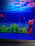 雙鳳迎貴來(lái)魚(yú)缸背景貼紙定制高清圖3D立體背景畫(huà)水族箱壁畫(huà)海底世界造景自粘 海洋氣泡 長(cháng)100高80厘米 曬單實(shí)拍圖