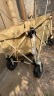 京东京造户外露营车可折叠400斤承重营地装备加大拖斗可拓展后开门细沙黄 实拍图