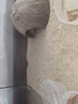 REPTIZOO鬃獅爬蟲沙砂爬寵沙子鈣沙蜥蜴守宮沙造景蝎子蛇爬蟲墊材 沙漠黃 極細(xì)款 曬單實(shí)拍圖