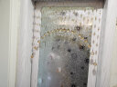 小雏菊水晶珠帘客厅隔断门帘子过道玄关卧室厨房卫生间挂帘子装饰免打孔 香槟+天然水晶 20条弧形（挂宽0.6-0.8米） 实拍图