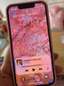 0度 適用蘋(píng)果13鋼化膜iPhone13Promax手機膜iPhone13Pro稀土護眼抗藍光防眩光防摔磨砂抗指紋保護貼膜 iPhone13Mini-5.4英寸 高清高透護眼版-六項防護 曬單實(shí)拍圖