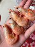 亞又婧【禮盒】北極甜蝦冰蝦北極熊帶籽頭籽腹籽特大號即食甜蝦頭膏甜蝦 腹籽 3斤(凈重)  禮盒裝（7090） 曬單實(shí)拍圖