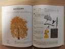 后浪官方正版 樹的邀約 樹木知識手繪圖解 自然植物科普書籍 曬單實拍圖