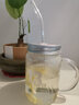 華派高硼硅茶杯果汁汽水杯冷飲帶吸管配蓋子果飲辦公室杯子玻璃吸管杯 白字1314款350ml+吸管 曬單實(shí)拍圖