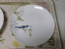 Gao Chun Ceramics高淳陶瓷 手繪骨瓷餐具套裝家用簡(jiǎn)約餐具米飯碗碟盤(pán)碟碗送禮套裝 8英寸平盤(pán) 曬單實(shí)拍圖