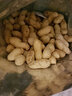 味優(yōu)福 落花生 500g*3 原味大花生 帶殼烤炒熟 山東香酥紅皮花生 原味 曬單實(shí)拍圖