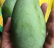潤味來(lái)廣西百色田東桂七芒果新鮮桂七香芒當季水果禮盒青皮大芒果精選裝 曬單實(shí)拍圖