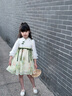mlgt kids童裝女童古裝連衣裙2025新款女寶春裝米綠色親膚漢服公主裙 米綠色 90 cm 曬單實拍圖