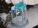 自游寶貝 SWIMMING BABY嬰兒游泳圈脖圈新生兒寶寶頸圈雙氣囊防翻充氣泳圈兒童防嗆救生圈 花瓣款藍(lán)色S碼(新生兒 9斤以下) 曬單實拍圖