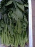 食藝鮮（SHIYIXIAN）新鮮菠菜火鍋炒菜食材新鮮時(shí)令蔬菜農(nóng)家自種蔬菜 500g 曬單實(shí)拍圖