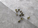 正宗特大種獅頭鵝活苗汕頭特大型獅子頭鵝灰鵝苗包活活禽養殖公母 特大種獅頭鵝苗（買(mǎi)12+5）發(fā) 17只 曬單實(shí)拍圖