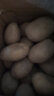 稀壤2024新恩施小土豆5斤含硒高山黄心马铃薯新鲜蔬菜 鸡蛋到鹅蛋左右大小 实拍图