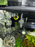 Atman魚(yú)缸加熱棒小型烏龜米缸自動(dòng)恒溫加溫器熱帶魚(yú)HCH THE 【藍頭升級 短款】適45-100L內缸 TH-200W 曬單實(shí)拍圖