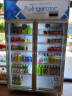 德玛仕（DEMASHI）风冷展示柜冷藏冰柜双门立式商用 便利店超市啤酒饮料水果保鲜陈列柜保鲜冰箱LG-928F（六层880升) 实拍图