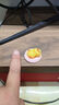 卡通可愛躺平動(dòng)物微景觀桌面裝飾小擺件汽車小擺件 躺平動(dòng)物 1個(gè)盲盒 曬單實(shí)拍圖