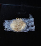周大福兒童聰明伶俐長(cháng)命鎖黃金吊墜(工費180)約6.25g EOF105 曬單實(shí)拍圖