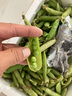 辰實【現(xiàn)摘】豌豆莢 荷蘭豆 云南新鮮甜脆豌豆水果青豌豆 甜豆 5斤（新鮮豌豆莢）劃算 曬單實拍圖