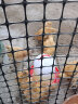耐尔尼鸡饮水器鸡自动饮水器小鸡鸭鹅雏鸡饮水桶鸡用水槽饮水壶养鸡设备 8斤装鸡饮水桶 实拍图