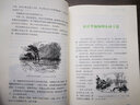 大自然的文字/名著(zhù)閱讀力養成叢書(shū) 曬單實(shí)拍圖