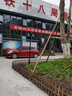 凱優(yōu)美  景觀燈家用復古室外燈庭院小區(qū)led燈高桿花園別墅戶外防水路燈 金扇門2.65米黑色（接電款） 曬單實拍圖