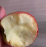 爾蝶山西運(yùn)城冰糖心蘋果新鮮當(dāng)季水果紅富士丑蘋果脆甜整箱時(shí)令水果 3斤裝 精選中果75-80mm凈重2.8斤 曬單實(shí)拍圖