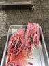 艾博馳多功能二枚開片殺魚機(jī)商用殺黑魚鯽魚鯉魚大小可調(diào)節(jié)殺魚機(jī)開背開肚 誠(chéng)意金 曬單實(shí)拍圖