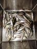 穿透王百果花香黑坑鯉魚(yú)小藥野釣鯽魚(yú)餌料鯉聚大麥紅薯膏秋季果酸誘魚(yú)劑 天冷低溫鯽魚(yú)套：鯽聚+冷鯽+桂香 曬單實(shí)拍圖