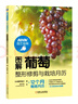 圖解葡萄整形修剪與栽培月歷 曬單實拍圖