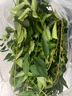 桃李村【順豐】新鮮咖喱葉 咖哩葉 調(diào)味品東南亞餐廳泰餐原料 九里香 50g 曬單實(shí)拍圖