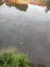 大頭加粗尾超醒目浮漂老年人專(zhuān)用魚(yú)漂高靈敏鯉鯽魚(yú)漂遠投老花近視 GH-11【吃鉛2.5g】17目三目超粗 二支裝【帶管】可混搭 曬單實(shí)拍圖