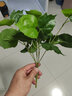 樹顏單支假花綠蘿仿真綠植植物小草塑料花插花綠草工程家居隔斷裝飾品 一支7叉爬山虎 曬單實拍圖