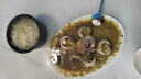 漁人百味 金槍魚眼睛肉500g 新鮮低溫大目冷凍海鮮水產(chǎn)日本料理刺身 金槍魚眼500g/份 曬單實拍圖
