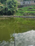 護王 鰱鳙魚(yú)漂醒目加粗大物漂魚(yú)漂高靈敏深水湖庫大物漂遠投漂大物漂 D2002-8【3目加粗】吃鉛8.00克 主攻鰱鳙日用大物漂 曬單實(shí)拍圖