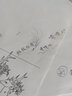 日本櫻花(SAKURA)自動鉛筆活動鉛筆繪圖鉛筆 避震筆芯防斷 0.5mm淡紫色筆桿 曬單實拍圖