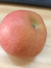 譽(yù)福園大涼山丑蘋(píng)果高山甜蘋(píng)果鹽源蘋(píng)果冰糖心脆甜水果生態(tài)種植孕婦可吃 野生丑蘋(píng)果帶箱9-10斤 大果丨80-85mm【店鋪熱銷(xiāo)】 曬單實(shí)拍圖
