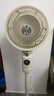 西屋（Westinghouse）空氣循環(huán)扇電風(fēng)扇家用落地扇節能輕音大風(fēng)量臺立兩用搖頭風(fēng)扇客廳臥室智能遙控渦輪換氣對流扇 頂配豪華款（12檔+四種操控+離子凈化） 曬單實(shí)拍圖
