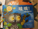蒂姆幼兒啟蒙繪本系列：哇哦！小貓頭鷹看世界 （麥克米倫世紀童書館） 曬單實拍圖