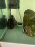 SOBO松寶魚缸潛水造浪泵水族箱造流泵魚缸吹糞器沖浪泵造浪器造浪機 WP-300M【 單頭10瓦】適用60-90缸 曬單實拍圖