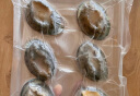 海鲜世家 福建冷冻大鲍鱼360g 8粒 火锅 烧烤食材 生鲜 贝类 实拍图