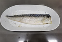 賣(mài)魚(yú)七郎國產(chǎn)青花魚(yú)片 新鮮冷凍 鯖魚(yú) 烤青占魚(yú) 燒烤食材 海鮮水產(chǎn)165g,挪威青花魚(yú)片【2片】 曬單實(shí)拍圖
