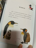企鵝與其他海鳥(niǎo) 曬單實(shí)拍圖