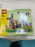 樂高（LEGO）拼插積木拼砌盒可愛女孩玩具禮物 40523復活節(jié)兔子 曬單實拍圖