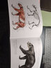 國(guó)際插畫(huà)大師惠特拉奇的動(dòng)物畫(huà)教程：藝用生物解剖 曬單實(shí)拍圖