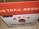 隴原紅【新疆順豐直發(fā)】普羅旺斯西紅柿 新鮮自然熟生吃番茄 5斤 家庭裝小果順豐 曬單實(shí)拍圖
