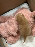 捉趣吉姆尼河馬毛絨玩具可愛公仔軟小河馬玩偶抱睡布娃娃女生生日禮物 河馬吉姆尼 全長約35cm 曬單實拍圖