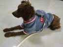 拉維佩特（LOVINGPET）泰迪狗狗衣服冬天 羊羔絨寵物衣服小型犬冬季比熊衣服幼犬貓衣服 藍灰色 S 建議5-6斤 曬單實(shí)拍圖